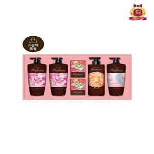 [LG생활건강 선물세트]LG설선물세트 샴푸&바디프리미엄퍼퓸컬렉션