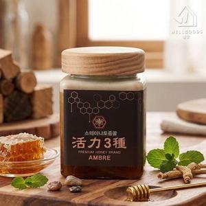갤러리아_[웰굿] 충북직송 명품 토종벌꿀 활력꿀 600g