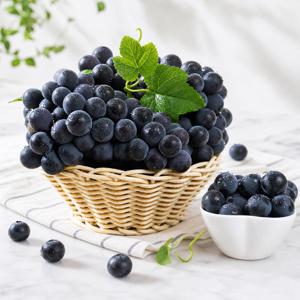 국내산 캠밸 포도 2kg 특품
