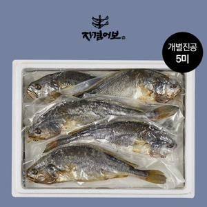 법성포 보리굴비 진공팩 5미/ 28cm내외