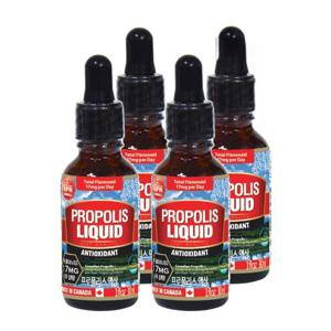 통라이프-플라보노이드463mg- 프로폴리스액상30ml-구강 향균작용 항산화에도움-4병