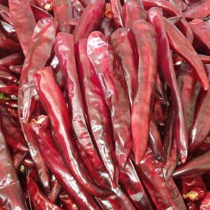 세척 건고추 600g 꼭지달림 보통맛