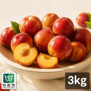 햇살품은 여름제철 자두3kg(대과) 100g이상 28개 내외 저탄소 GAP인증 경북의성 자두 바르겟