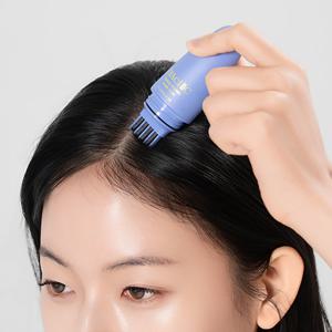 이가자헤어비스 디아쉬끄 퀵 픽싱 헤어틴트 새치커버스틱 흰머리커버