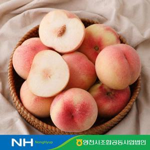 농협직송 딱딱이 복숭아 아삭이 백도복숭아 3kg 중대과(15-17과)