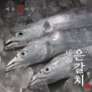 [제주가마당]제주은갈치 300g x 7팩(1팩당 4토막, 총2.1kg, 28토막)