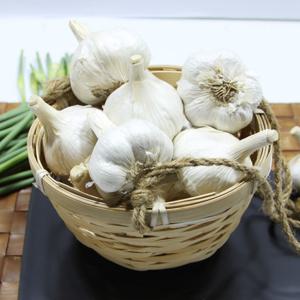 [산지직송] 남해농협 통마늘  5kg(상)/마늘망 미포함