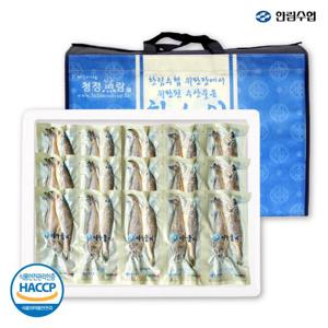 [한림수협] 제주풍 제주굴비 700g x 3팩 30미 (10미/1팩) 선물세트