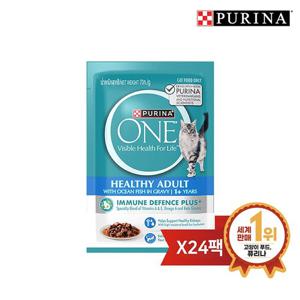 원 캣 습식 파우치 청정바다생선맛 70g 24팩