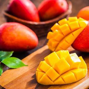 [착한식탁]제주 애플망고 특품 2kg (6-7과)