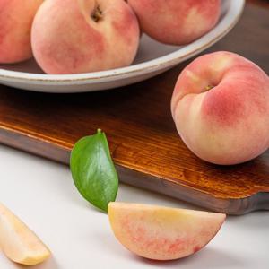 [더자인] 아삭 달콤 딱딱이 백도복숭아 2kg 대과 7-8과내외