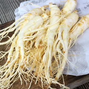 금산 황금농장 홍삼용 세척 원삼(중) 700g