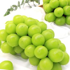 *농할할인*[딜픽]자연농장 당도선별 샤인머스켓 2수 1kg내외 망고포도(1수당 450g-500g내외)