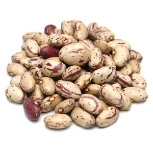 호랑이콩 1kg 피강낭콩 밤콩