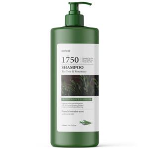 메르헨트 티트리 앤 로즈마리 샴푸 1500ml x 1개 대용량 약산성 미용실 향기좋은