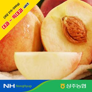 *농할할인*[상주농협] 아삭이 백도 복숭아 4kg