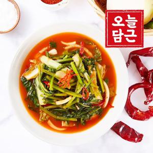 [오늘담근 김치] 전라도 열무물김치 5kg