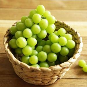 달콤가득 프리미엄 샤인머스캣 가정용 2kg (4수)