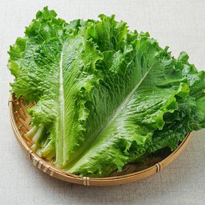 당일 수확 국내산 GAP인증 로메인 청상추 1kg