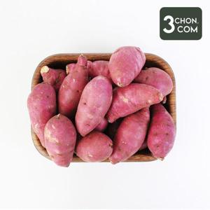 [삼촌밥먹자] 달콤한 세척 꿀 밤고구마 소 5kg