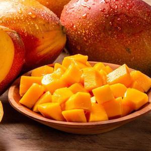 달콤한 냉동망고1kg x 2팩 총2kg (다이스)