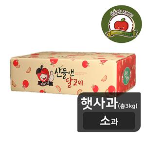 [산들앤/소과] 산들앤 달코미 세척 여름 햇사과 3kg (총 1박스)