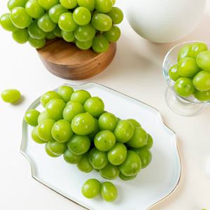 고당도 샤인머스켓 실속 1kg (2-3수/개당300-650g)