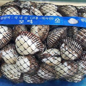 고흥 꼬막 1kg 특대 60~70미 고흥 새꼬막 벌교꼬막 여수꼬막 세꼬막 활꼬막