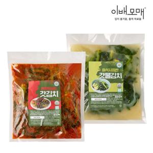 [텐텐]이배모매 김치장인 여수 돌산 갓김치 2kg(양념/물)