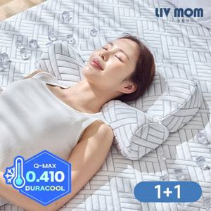리브맘 메모리폼 아이스쿨링 냉감 바른자세 경추베개 1+1