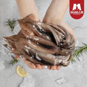 [마녀바스켓] 녹진한 손질 통찜용 오징어 자연산 1kg(8-14미)