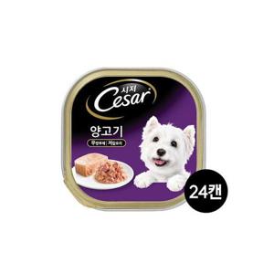 시저 강아지캔 1세이상 양고기 100g 24캔