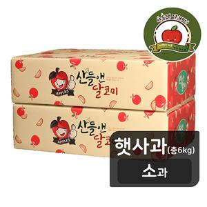 [산들앤/소과] 산들앤 달코미 세척 여름 햇사과 6kg (총 2박스)