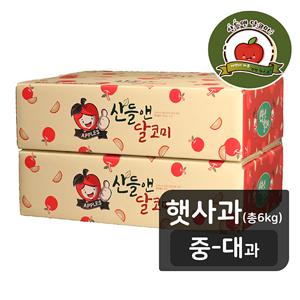 [산들앤/중대과] 산들앤 달코미 세척 여름 햇사과 6kg (총 2박스)