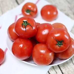 특품 완숙토마토 2kg