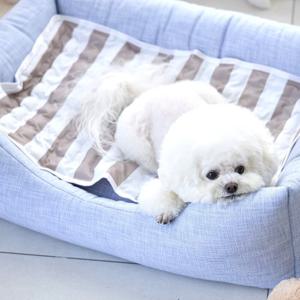 마이또 프리미엄 애견쿨매트 브쪼미/반려동물/강아지/고양이 중형(45×70)