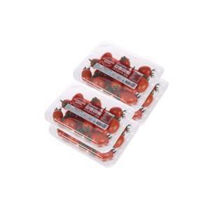 [감동마토][선착순20%] 스테비아 대추방울토마토 1kg 2kg