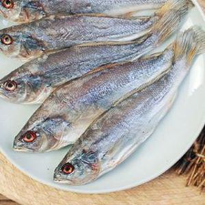 비늘이 손질된 반건조 민어(가이석태속) 10미(미당 100~150g)