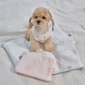 강아지 고양이 냉감 여름 아이스팩 방석 베개 스노우테디 파우치 (B501)