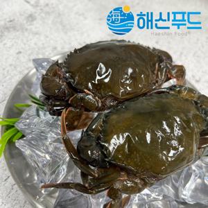 소프트쉘 크랩 900g 태국산 냉동 탈피 꽃게