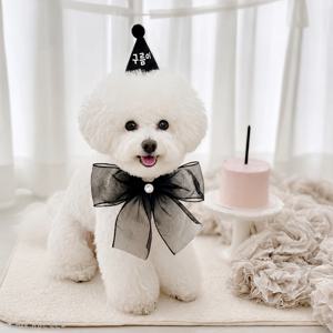 반려동물 생일 고깔 케이프 세트 강아지 고양이 리본 미니 선물 주문제작