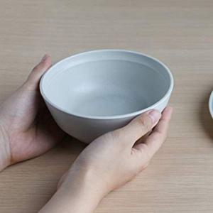 [해외] 그릇 FOG 보울 145mm 570ml 식세기사용 26355 26356