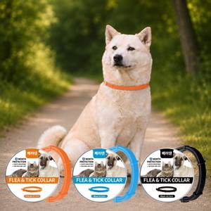 [1+1] 베러댄 강아지 진드기목걸이 모기 퇴치 기피제 해충방지목걸이 8개월지속