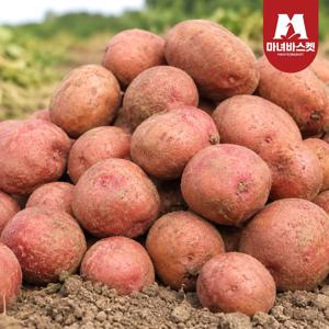 달큰 포슬 햇감자 홍감자 대 3kg (70~130g 내외)