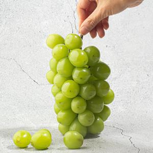 [시즌오픈] 김천 특품 샤인머스켓 2kg x 총 4수 / 국내산 프리미엄 씨없는 청포도