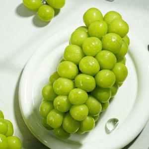 샤인머스켓 특품 고당도 씨없는 포도 프리미엄 과일