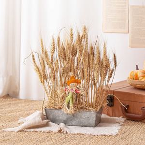 가을 보리 직사각 화분 40cm