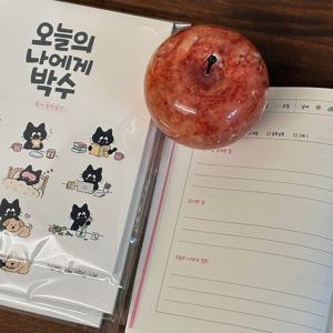오늘의나에게박수 감사 칭찬 하루 일기 기록장