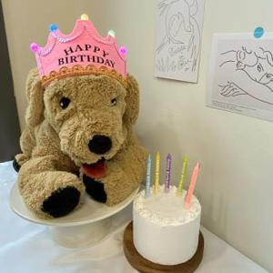 생일 led 펠트왕관 해피벌쓰데이 파티 머리띠