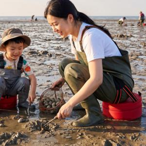 고추 따는 의자 심는 수확 농업용 엉덩이 농사 농업 밭일 갯벌 의자